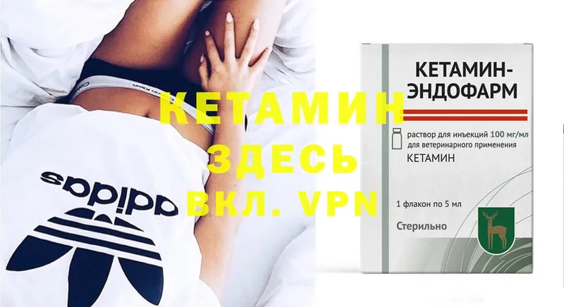 купить наркоту  Кимовск  Кетамин ketamine 