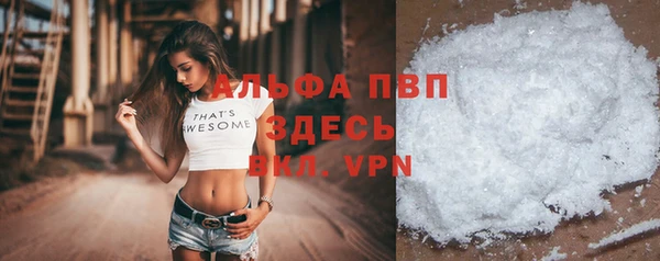 дурь Няндома