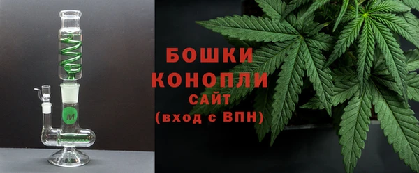 дурь Няндома