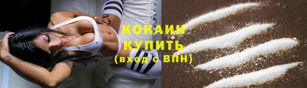 дурь Няндома