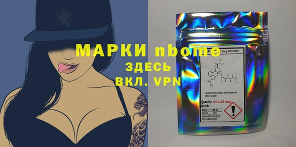 дурь Няндома
