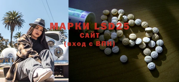 дурь Няндома