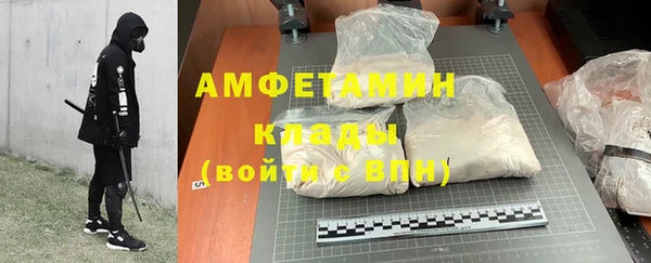 дурь Няндома
