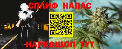 МДПВ Бийск