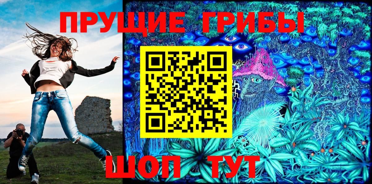 Псилоцибиновые грибы Psilocybe  Кимовск 