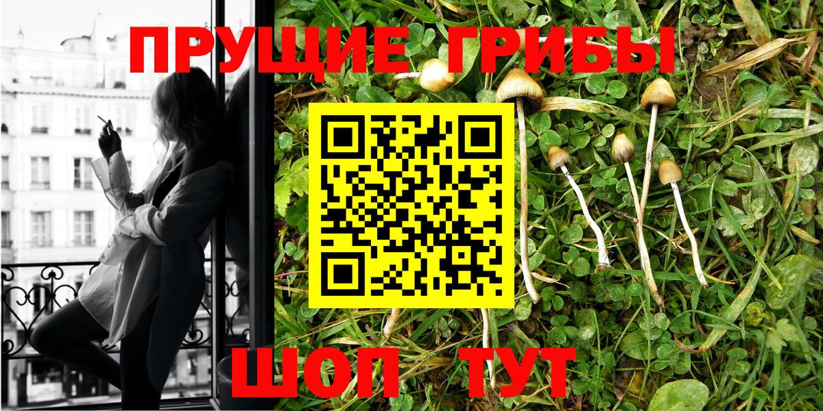 Кимовск  Галлюциногенные грибы мухоморы  Вход с VPN 